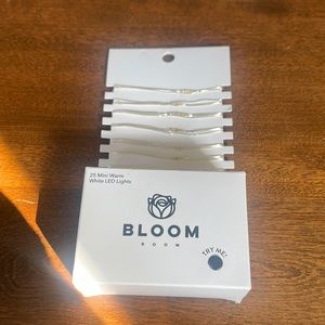 Bloom Room 25 ct LED Mini Silver Wire w/ Warm White String Lights